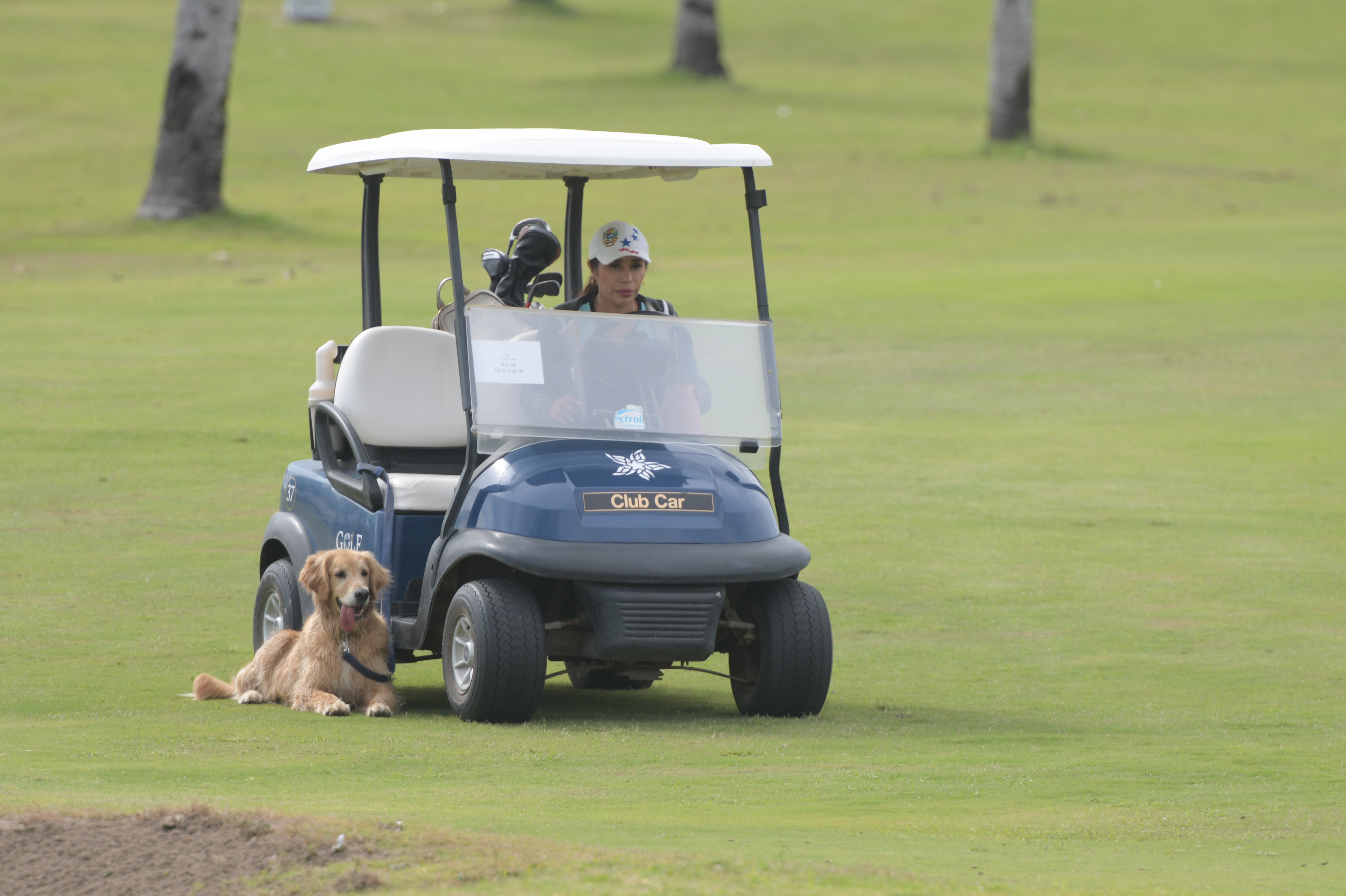 BdC: 24 de Marzo 2021. Los Caimanes invaden el Abierto Mexicano de Golf